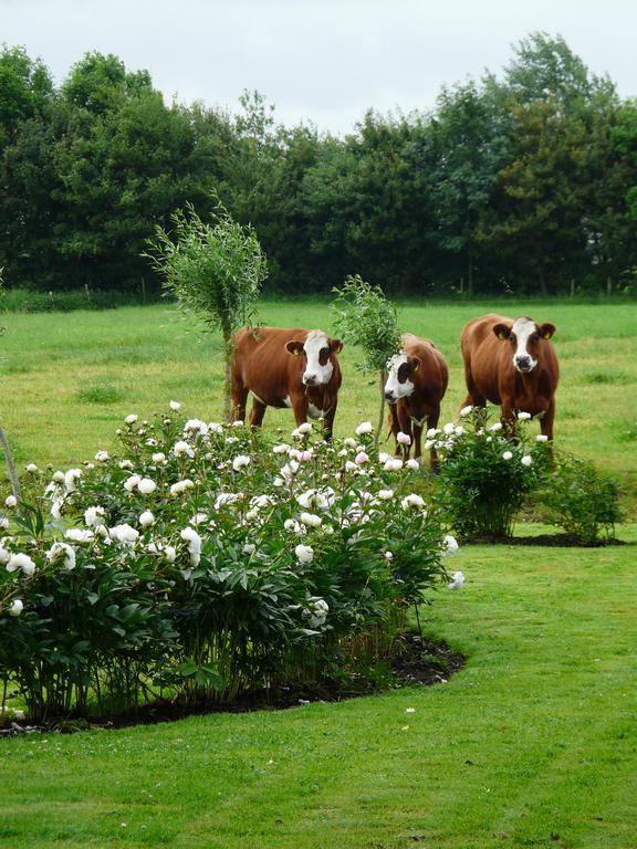 Landgoedlogies Pábema Bed and Breakfast Zuidhorn Buitenkant foto